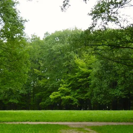 Les Acacias * Clamart